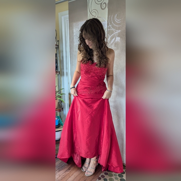 Like new Jora Collection medium evening gown. Beautiful appliqué on top side zip - Picture 1 of 13